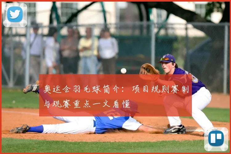 奥运会羽毛球简介：项目规则赛制与观赛重点一文看懂